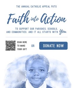 https://bostoncatholicappeal.org/donate-now/